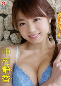 Shizuka Nakamura - Beginning