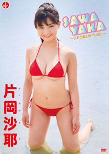 Saya Kataoka - Sawakaya