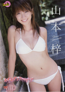 Azusa Yamamoto - Azu Azu Travelling [DVD]