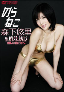 Yuuri Morishita - Wild Cats