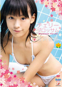 Haruka Miyazawa - Cherry Blossom